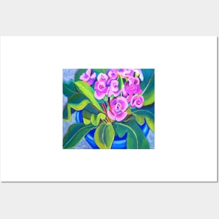 Pink Primula Posters and Art